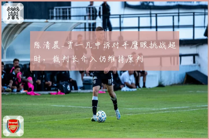 陈清晨_贾一凡申诉对手鹰眼挑战超时,裁判长介入仍维持原判