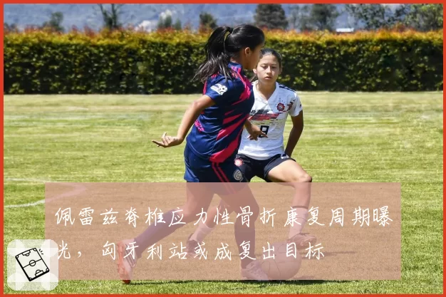 佩雷兹脊椎应力性骨折康复周期曝光，匈牙利站或成复出目标