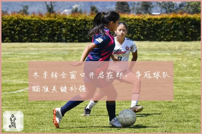 冬季转会窗口开启在即，争冠球队瞄准关键补强