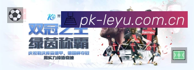 奖项证书